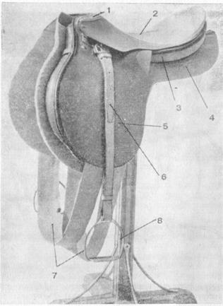 Верховое снаряжение. Седла и техника седловки. - student2.ru