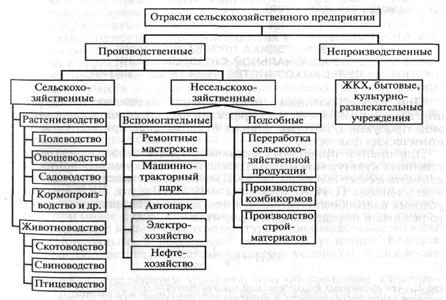 Виды предприятий и объединений в АПК. - student2.ru