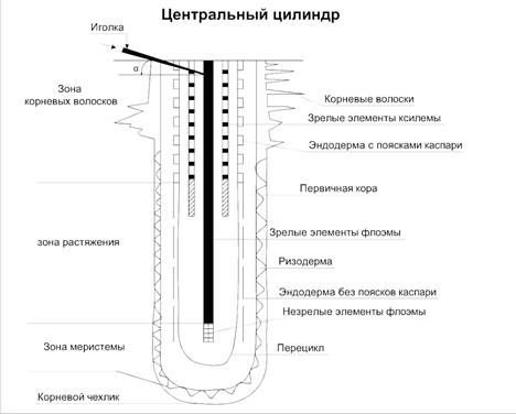 Водный режим почвы и управление или при поливах. - student2.ru