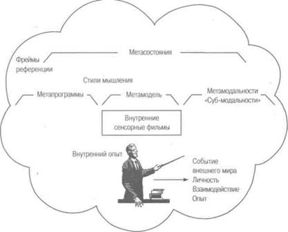 Информационные процессы в нашей нейро-лингвистической системе - student2.ru