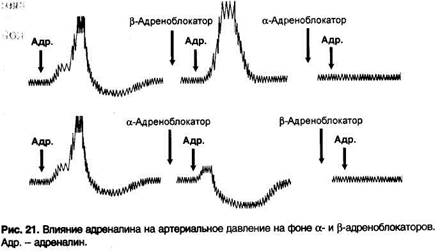 Основные эффекты возбуждения постсинаптических и внесинаптических адренорецепторов - student2.ru