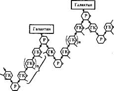 пищевая ценность овощей и плодов - student2.ru