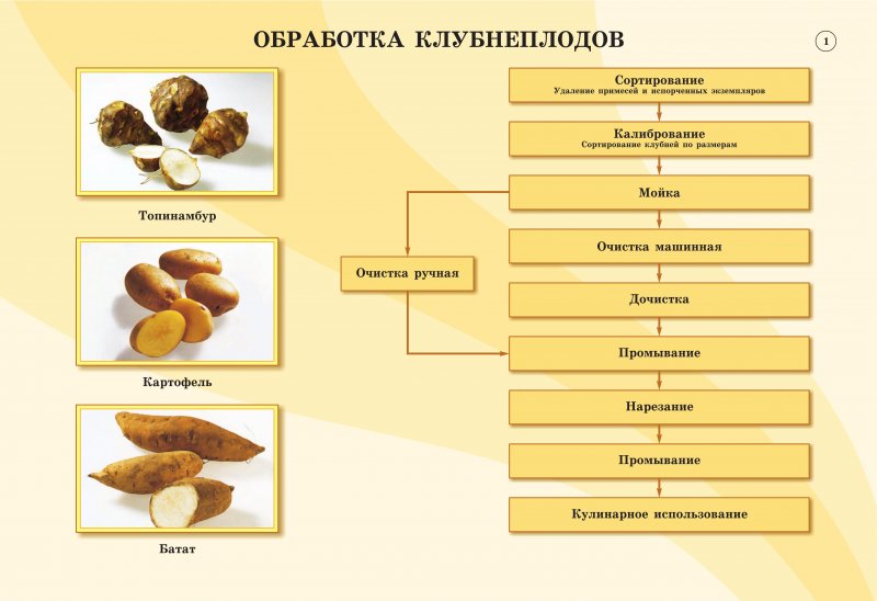 Схема приготовлениия овощных полуфабрикатов - student2.ru