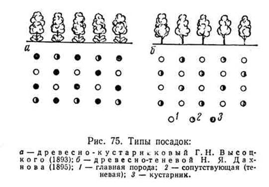 агротехника степного лесоразведения - student2.ru