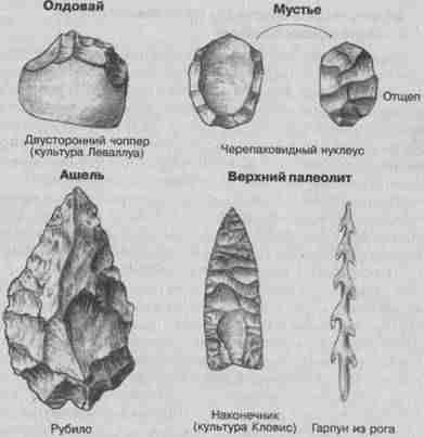 Археологические данные о гоминидах. - student2.ru