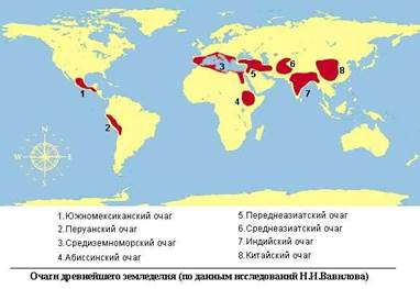 Авторский взгляд на исторический процесс - student2.ru