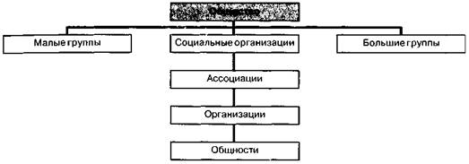 Дж. Раби, М. Горвитц Эксперимент по межгрупповому предпочтению (1969) - student2.ru