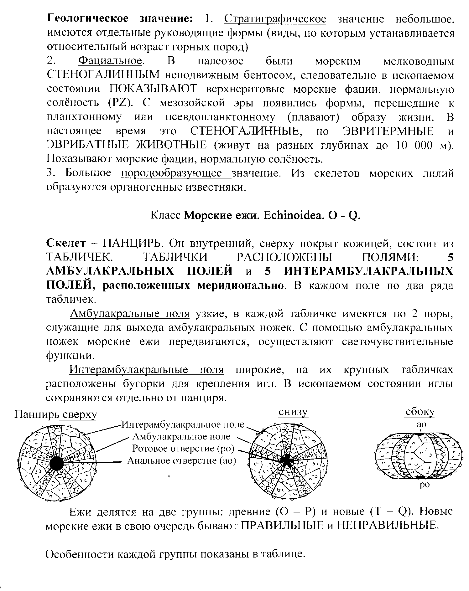 Форма раковины по соотношению створок - student2.ru