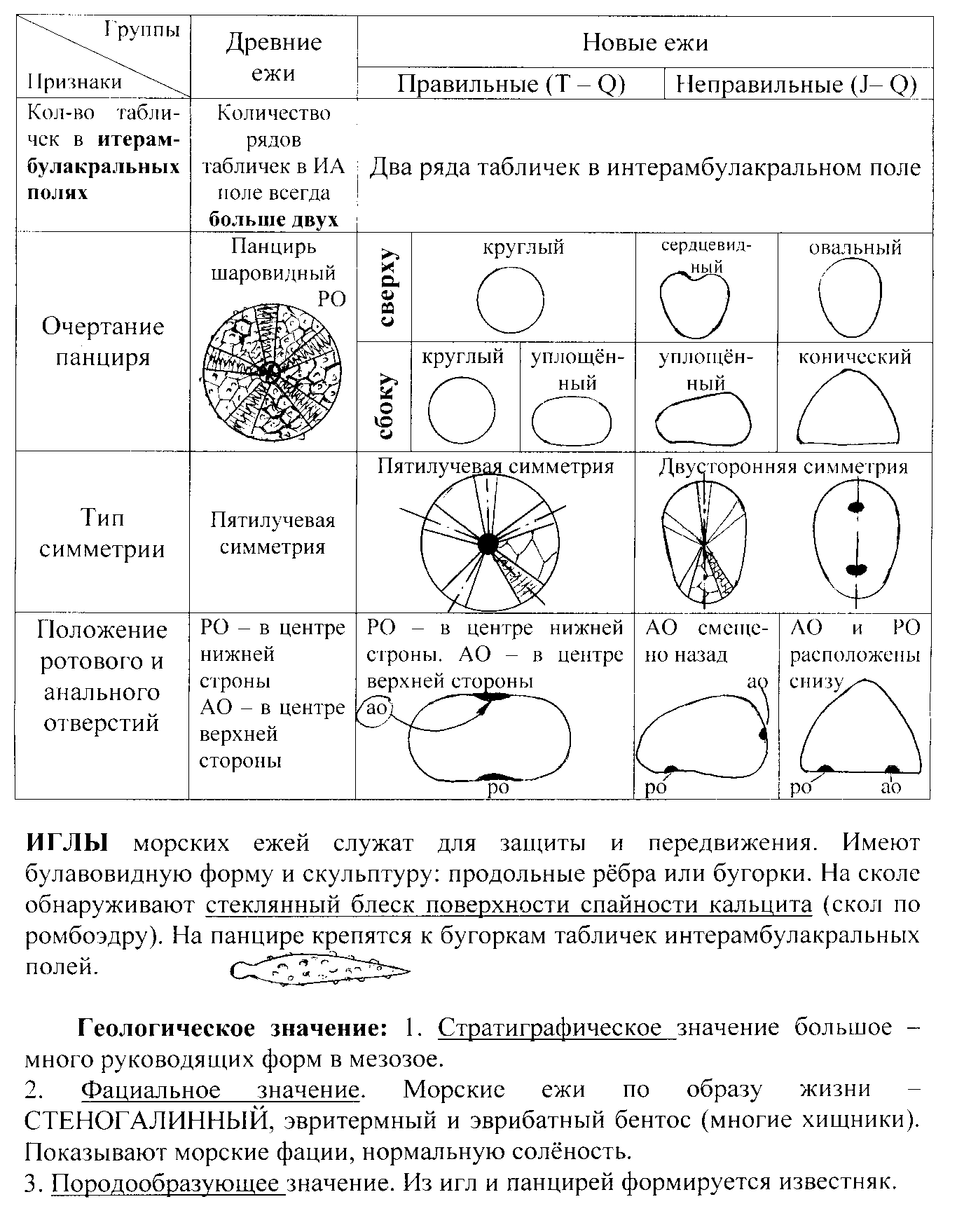 Форма раковины по соотношению створок - student2.ru