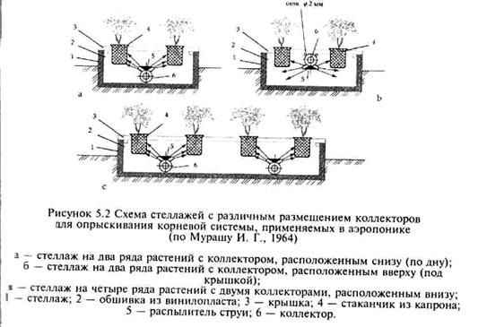 гидропонный метод выращивания растений - student2.ru