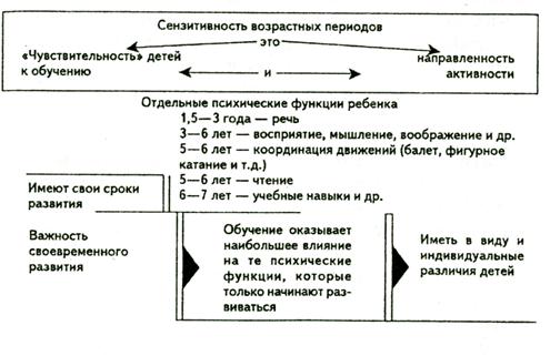 глава 2. основные закономерности психического развития человека - student2.ru