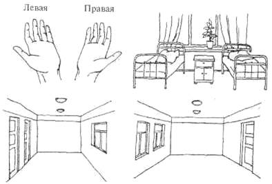 II. Речь — функция головного мозга - student2.ru