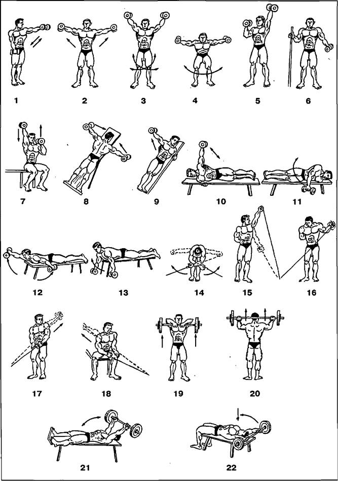 Комплекс упражнений для развития мышц плечевого пояса - student2.ru