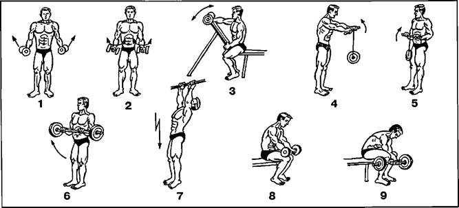 Комплекс упражнений для развития мышц предплечья - student2.ru
