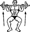 Комплекс упражнений для развития мышц спины - student2.ru