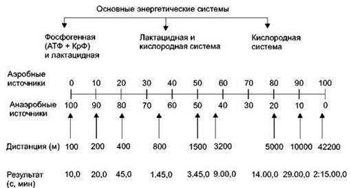 Лекция №13. Влияние физических нагрузок на здоровье - student2.ru