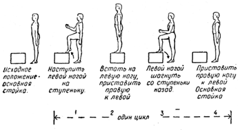 Лекция №13. Влияние физических нагрузок на здоровье - student2.ru