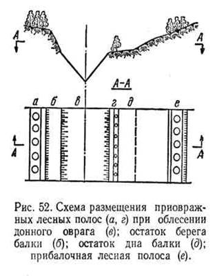 понятие об овражной эрозии почв - student2.ru