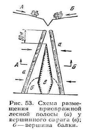 понятие об овражной эрозии почв - student2.ru