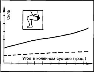 Нетрадиционные подходы к тренировке культуристов - student2.ru