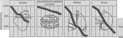 Оценка физической подготовленности людей разного возраста по результатам 12-минутного бегового теста - student2.ru