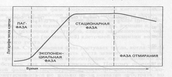 Органогени, 6 шт - student2.ru