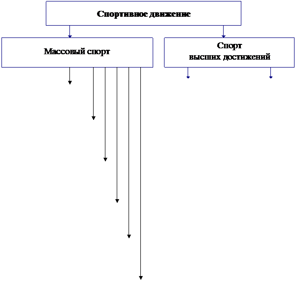 Основные направления развития спортивного движения - student2.ru