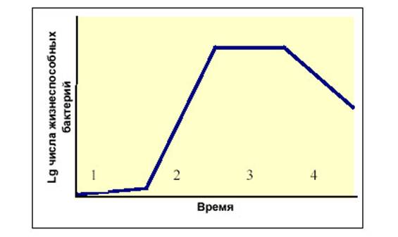 Основные параметры роста культур прокариот. - student2.ru