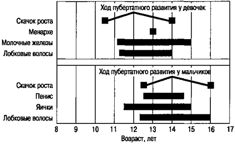 Особенности полового созревания лиц мужского и женского пола - student2.ru