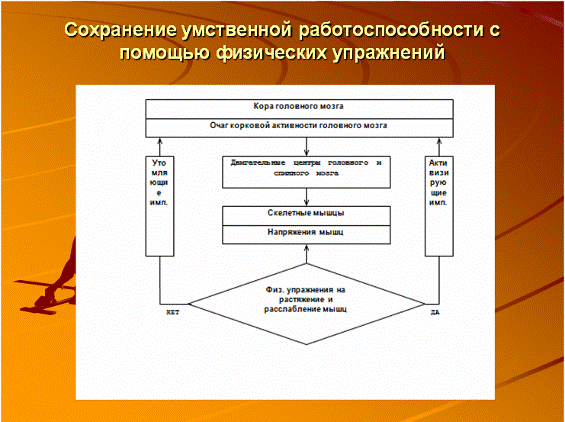 Поддержание умственной работоспособности с помощью физической активности - student2.ru