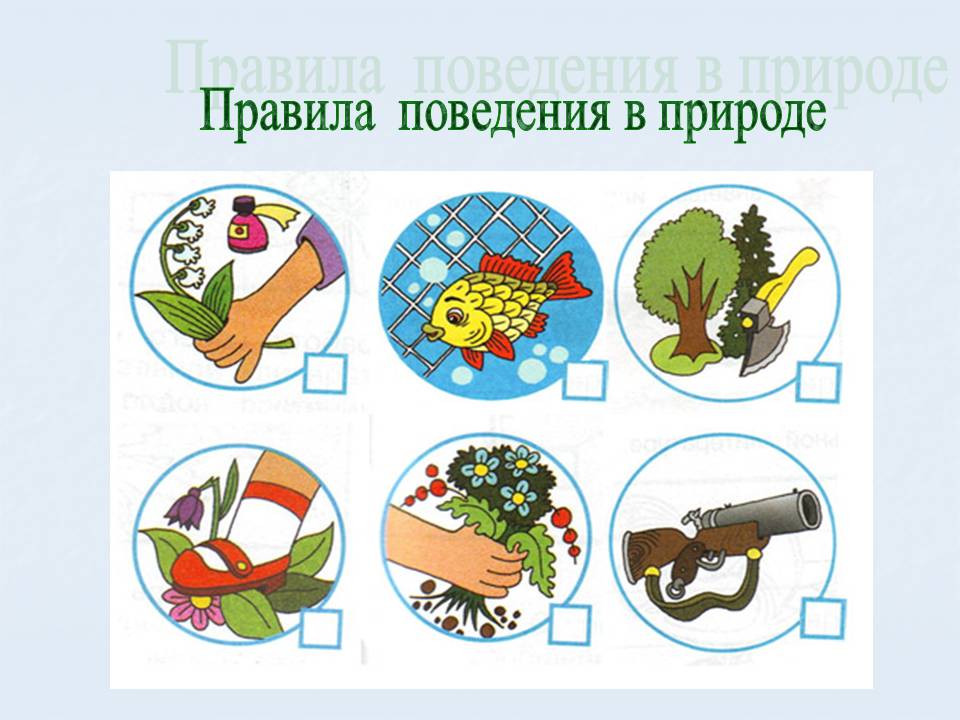 Правила безопасного поведения в лесу и на воде - student2.ru