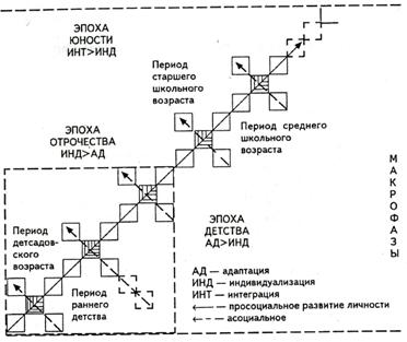 принцип развития в деятельности - student2.ru