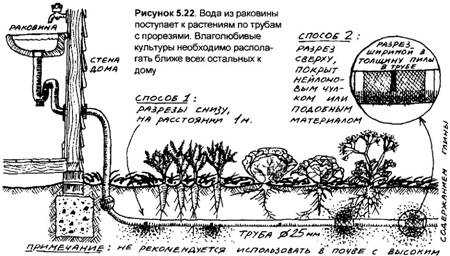 проблемы тропического огорода - student2.ru