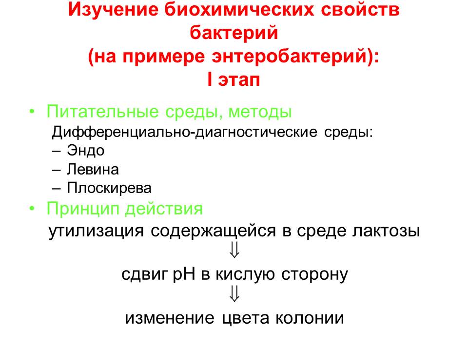 РАЗМНОЖЕНИЕ БАКТЕРИЙ И ПРИНЦИПЫ ИХ КУЛЬТИВИРОВАНИЯ. Методы создания анаэробных условий для культивирования бактерий. - student2.ru