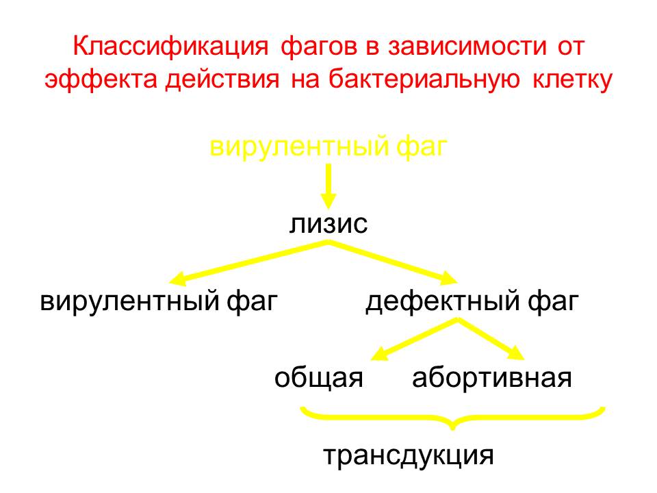 РАЗМНОЖЕНИЕ БАКТЕРИЙ И ПРИНЦИПЫ ИХ КУЛЬТИВИРОВАНИЯ. Методы создания анаэробных условий для культивирования бактерий. - student2.ru