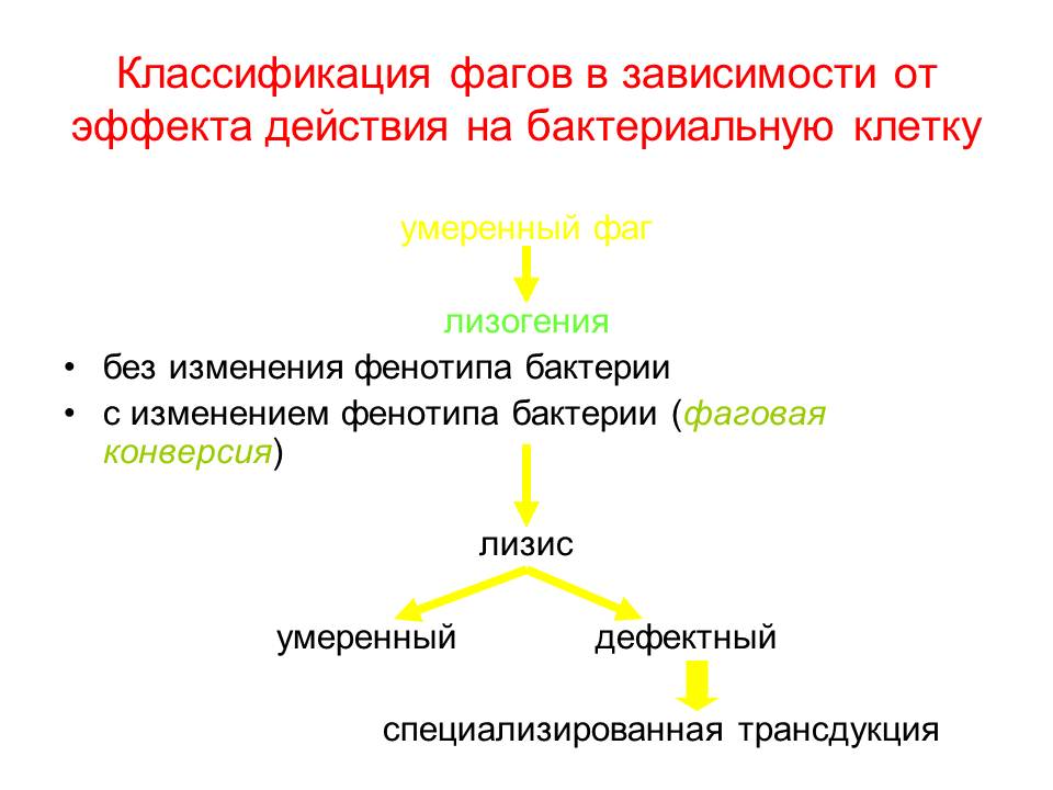 РАЗМНОЖЕНИЕ БАКТЕРИЙ И ПРИНЦИПЫ ИХ КУЛЬТИВИРОВАНИЯ. Методы создания анаэробных условий для культивирования бактерий. - student2.ru