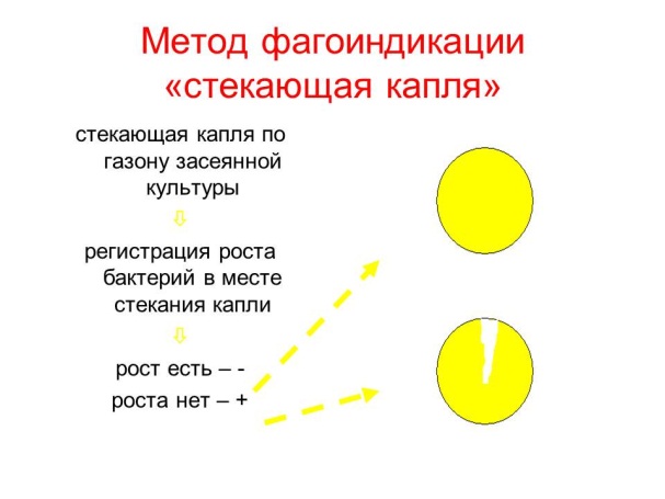 РАЗМНОЖЕНИЕ БАКТЕРИЙ И ПРИНЦИПЫ ИХ КУЛЬТИВИРОВАНИЯ. Методы создания анаэробных условий для культивирования бактерий. - student2.ru