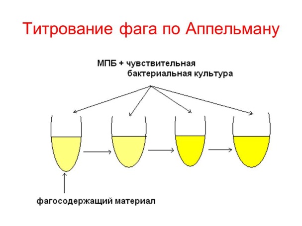 РАЗМНОЖЕНИЕ БАКТЕРИЙ И ПРИНЦИПЫ ИХ КУЛЬТИВИРОВАНИЯ. Методы создания анаэробных условий для культивирования бактерий. - student2.ru