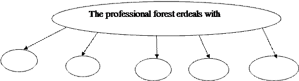 Read the text to find out the main concerns of a professional forester and complete the diagram. - student2.ru