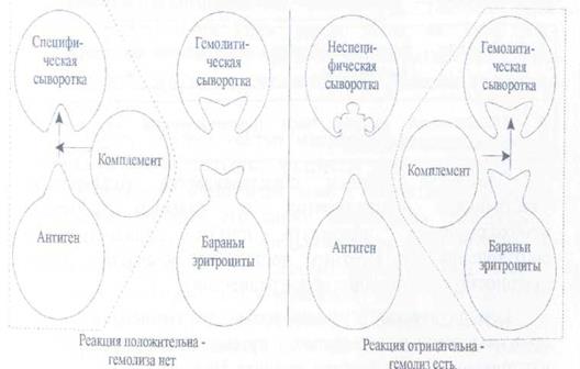 Реакция связывания комплемента. - student2.ru