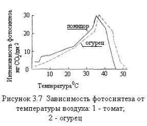 Режим досвечивания рассады по фазам роста и развития растений - student2.ru