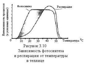 Режим досвечивания рассады по фазам роста и развития растений - student2.ru