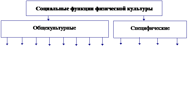 Социальные функции физической культуры и спорта - student2.ru