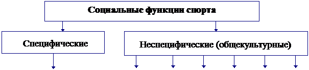 Социальные функции физической культуры и спорта - student2.ru