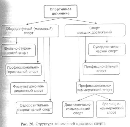 Социальные функции спорта. Основные направления в развитии спортивного движения - student2.ru