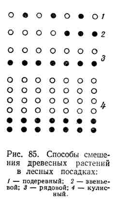 составление схемы смешения древесных пород для лесных полос - student2.ru