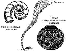Спирали в природе и искусстве - student2.ru