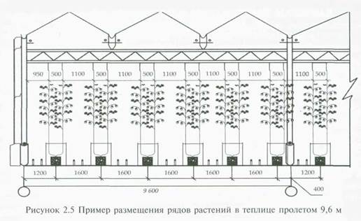 строительство и реконструкция теплиц - student2.ru