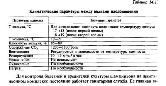 технология выращивания шампиньона - student2.ru