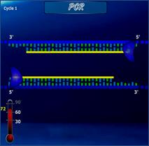 Тема: Полимеразная цепная реакция (ПЦР) - student2.ru